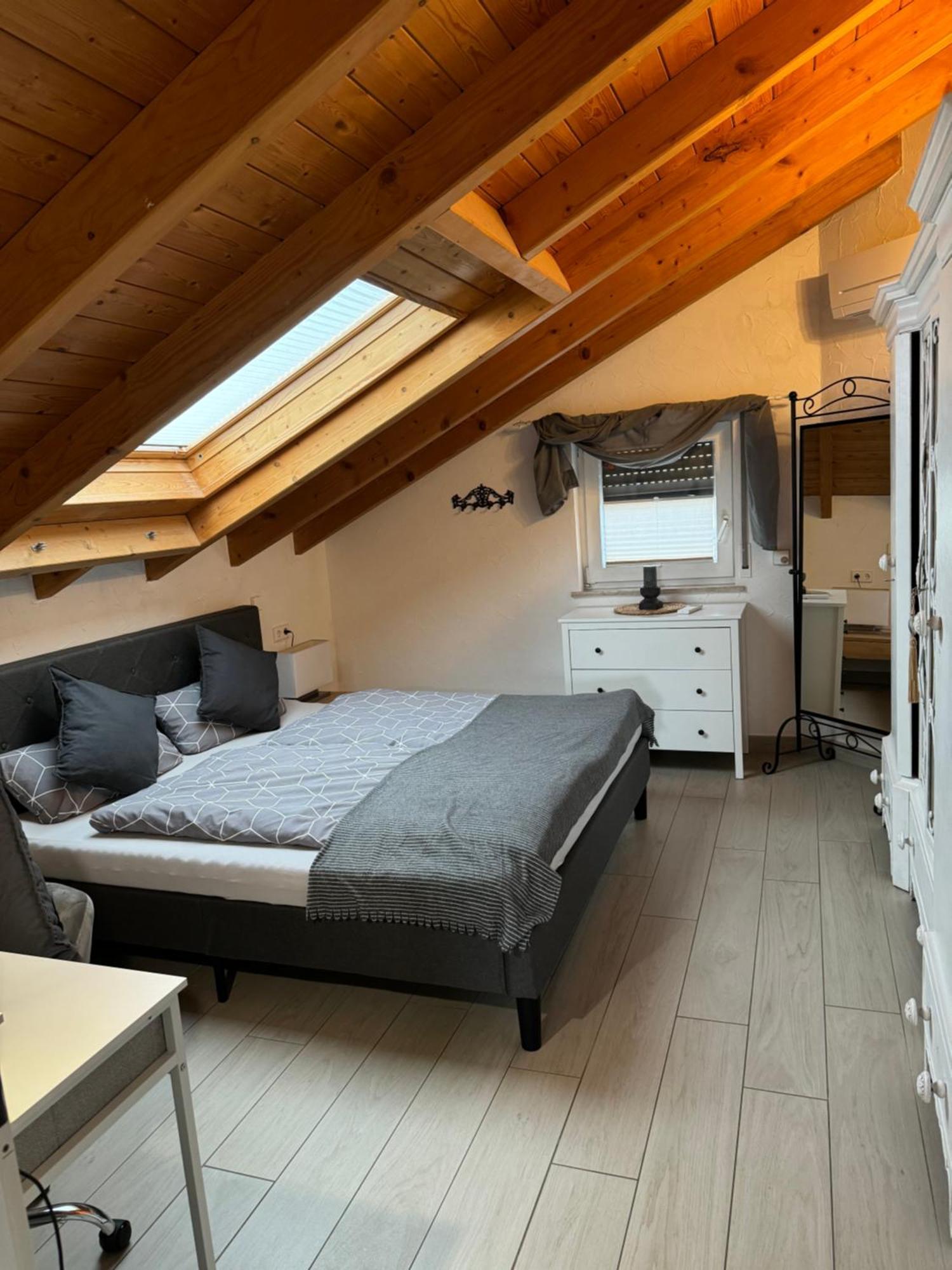 Spacy 3 Bedroom Plus Sleeping Couch Apartment Work&Travel Close To Heidelberg Dielheim Extérieur photo