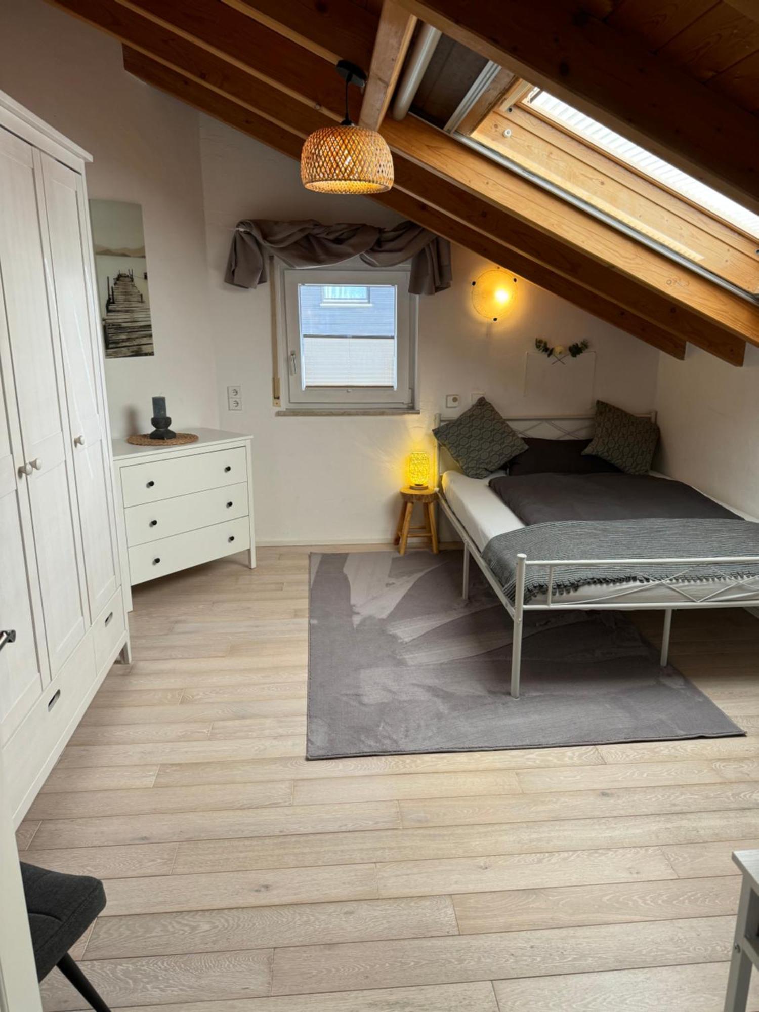 Spacy 3 Bedroom Plus Sleeping Couch Apartment Work&Travel Close To Heidelberg Dielheim Extérieur photo